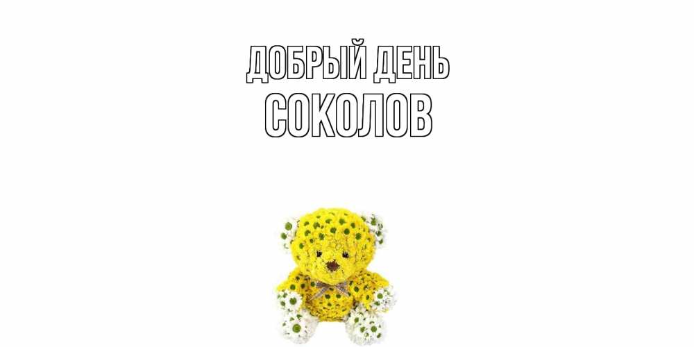 Открытка  с именем. Соколов, Добрый день  