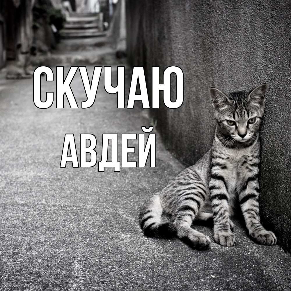 Открытка  с именем. Авдей, Скучаю  