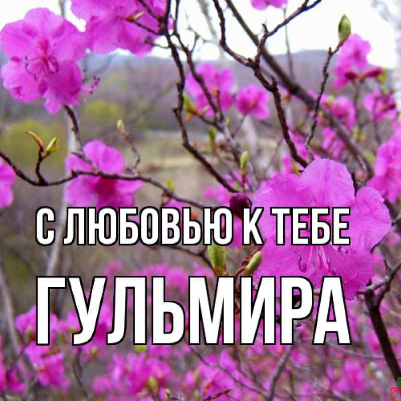 Картинка С любовью к тебе, Гульмира