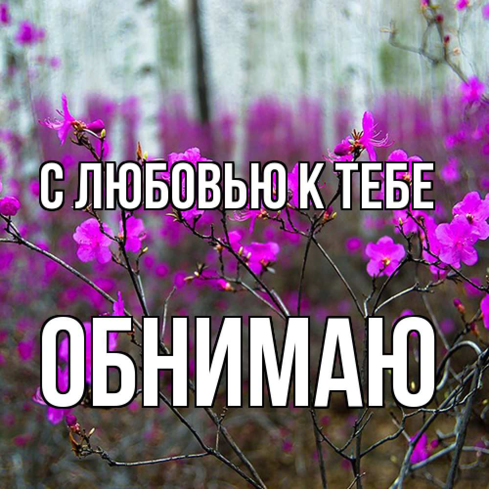 Открытка  с именем. Обнимаю, С любовью к тебе  