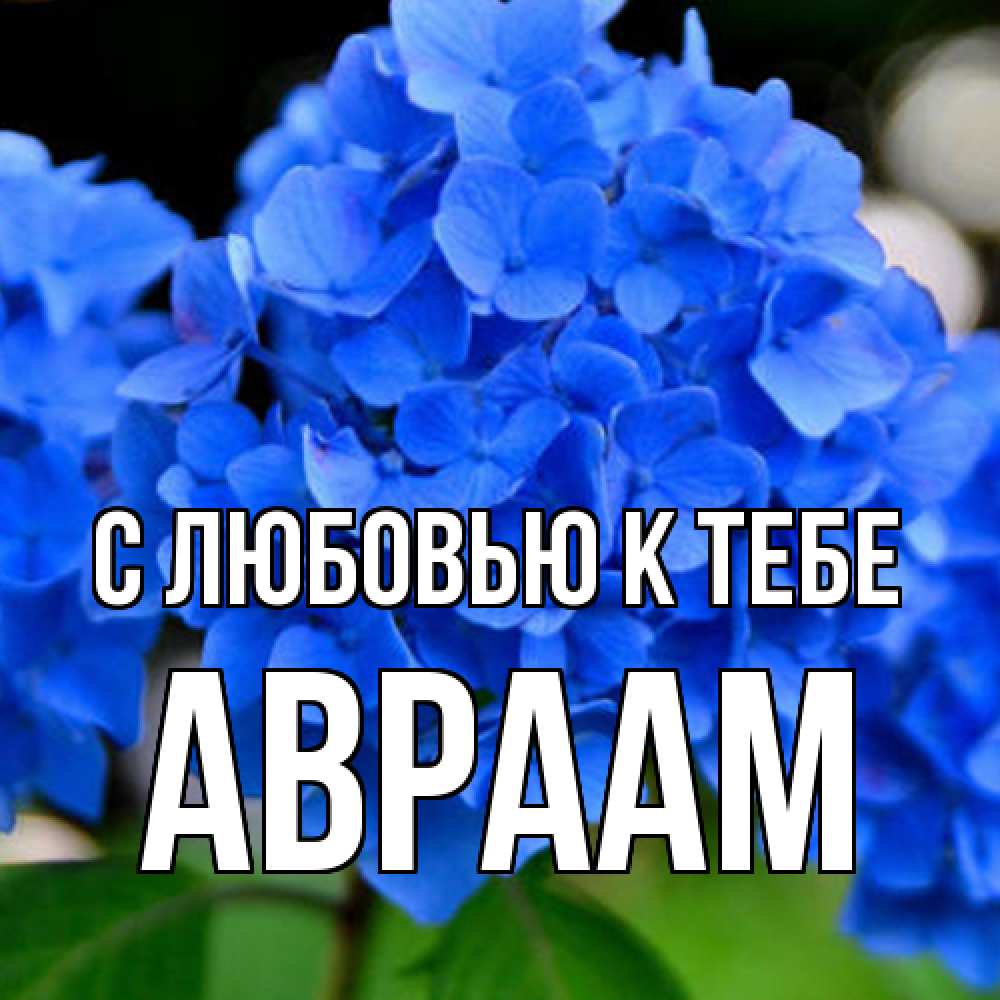 Открытка  с именем. Авраам, С любовью к тебе  