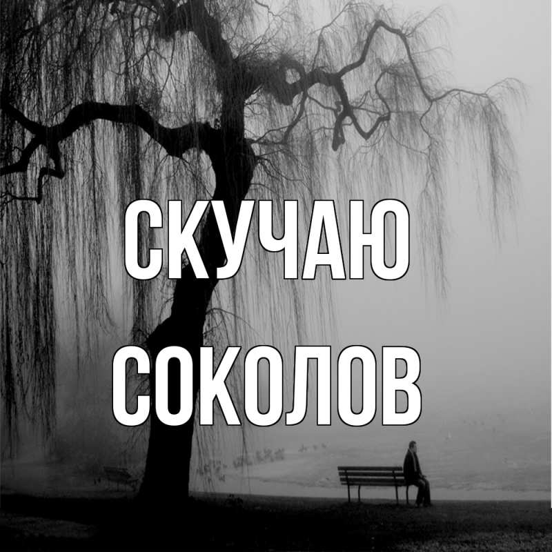 Картинка Скучаю, Соколов
