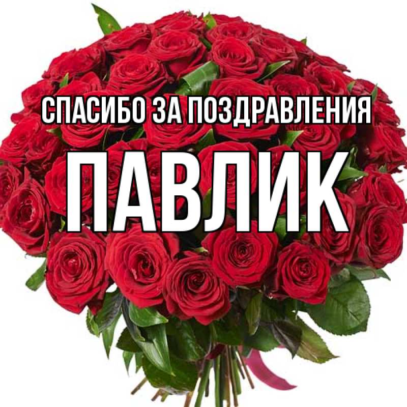 Картинка Спасибо за поздравления, Павлик