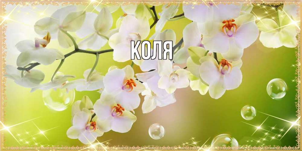 Открытка  с именем. коля, Главная  