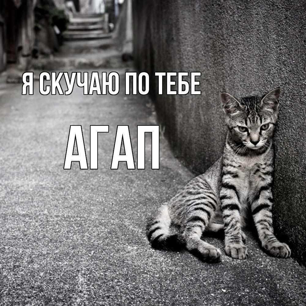 Открытка  с именем. Агап, Я скучаю по тебе  
