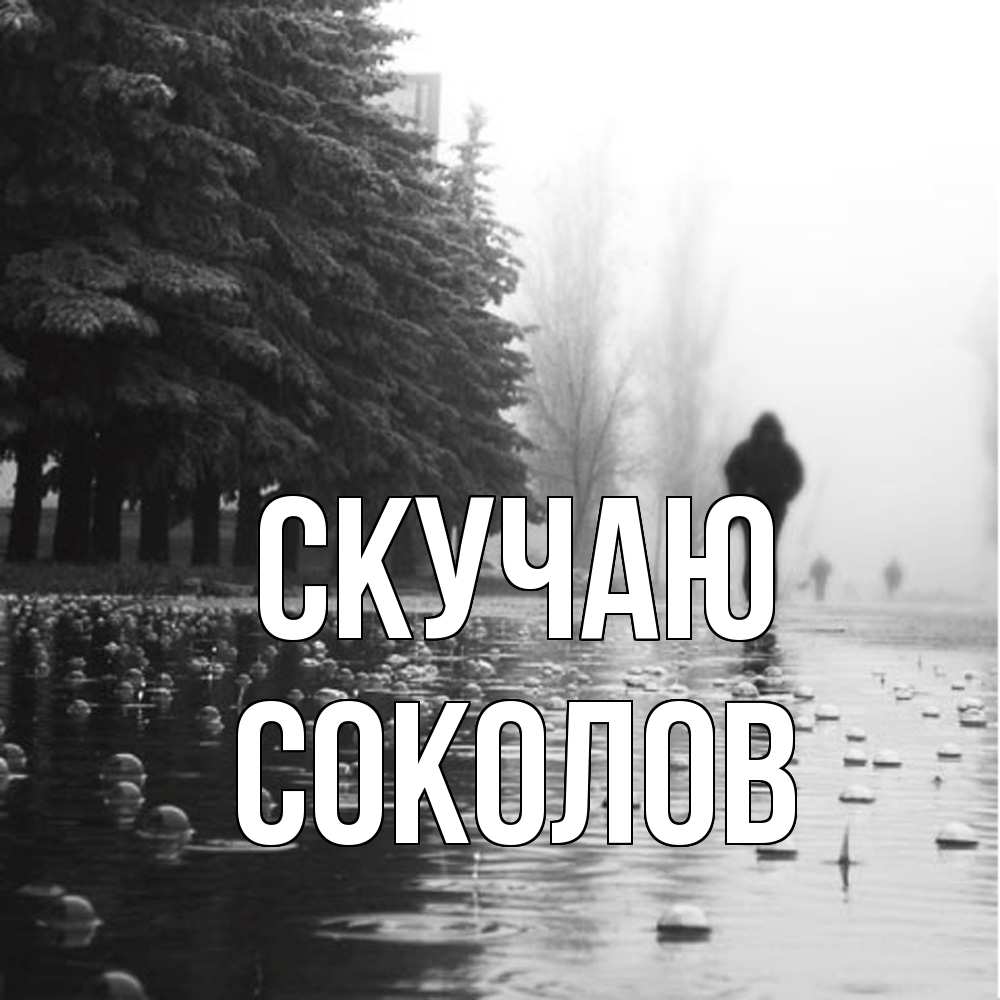 Открытка  с именем. Соколов, Скучаю  