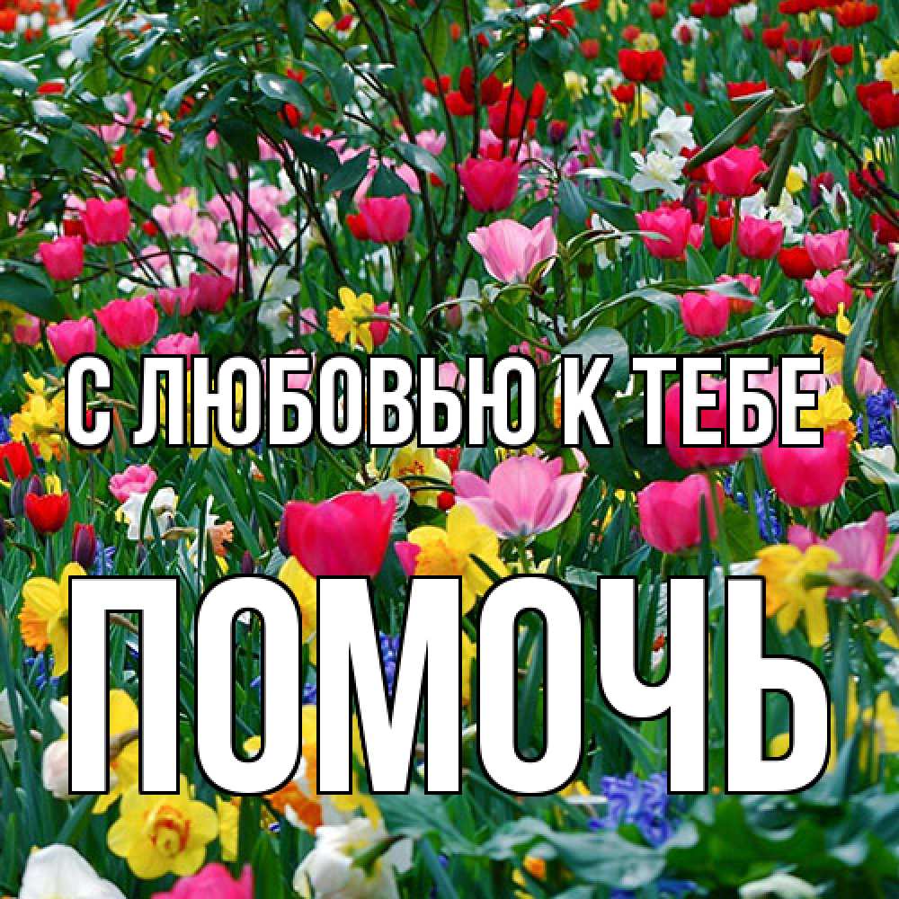 Открытка  с именем. Помочь, С любовью к тебе  