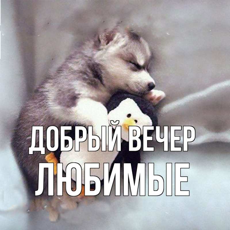 Открытка с именем, Любимые, Добрый вечер