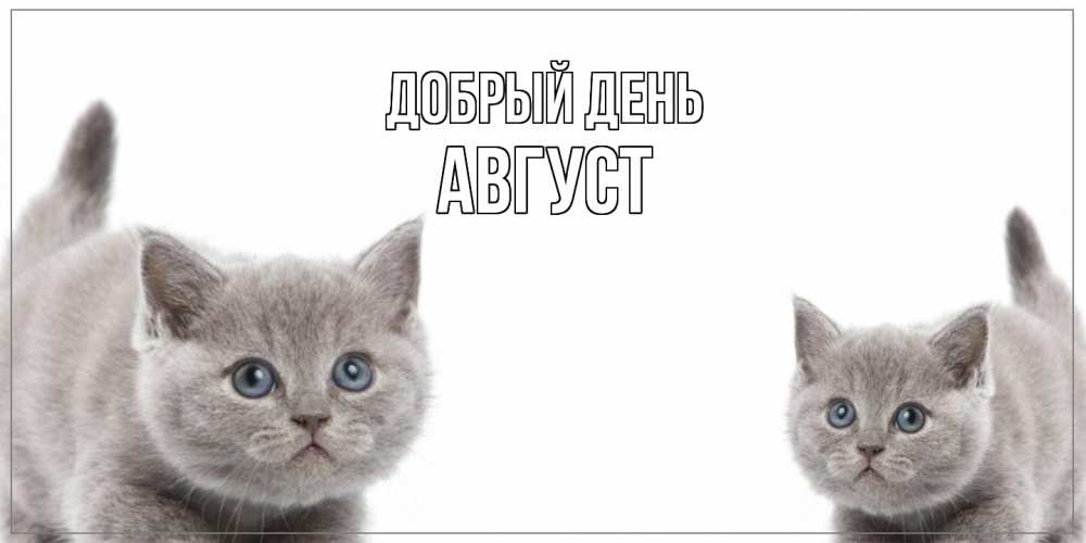 Открытка  с именем. Август, Добрый день  