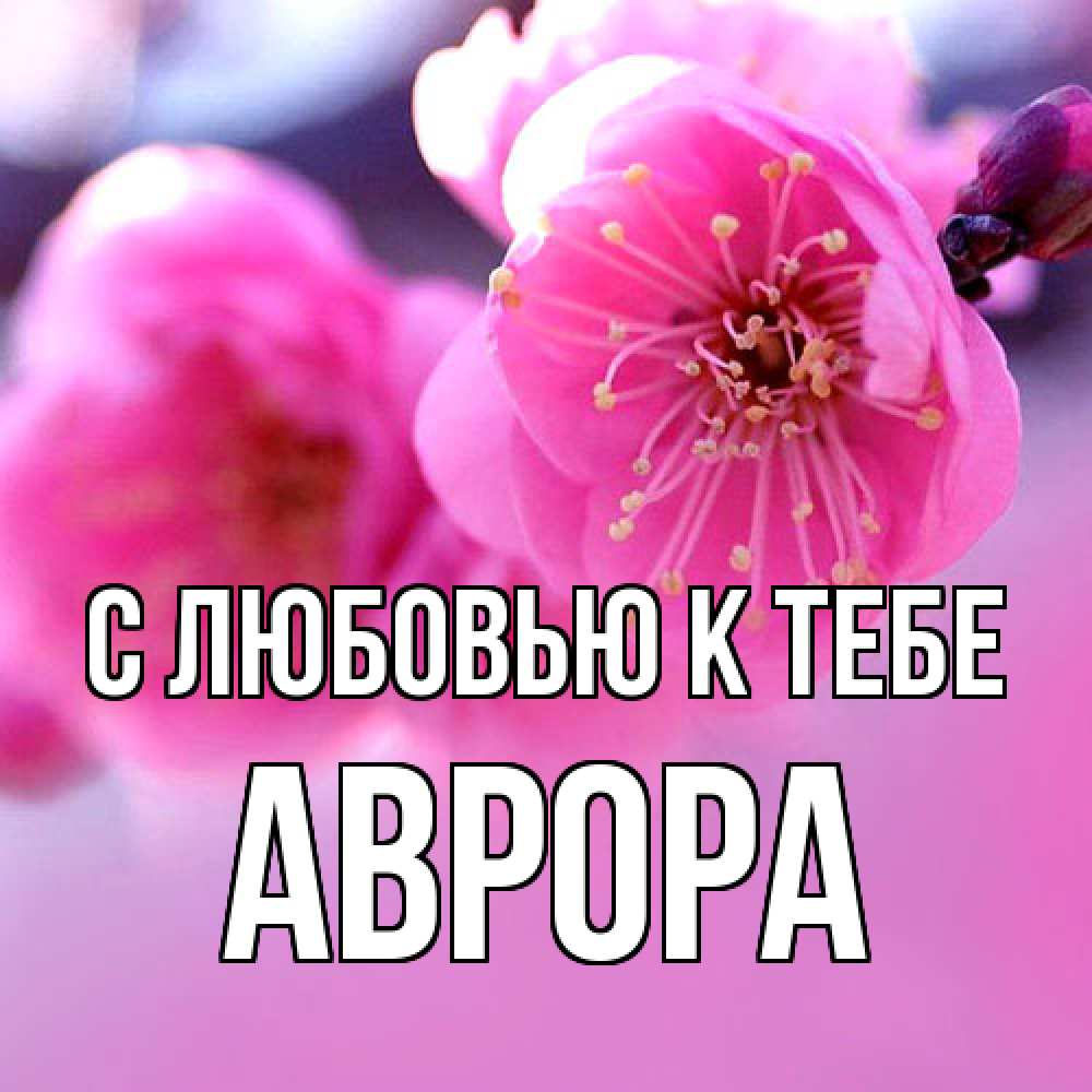 Открытка  с именем. Аврора, С любовью к тебе  