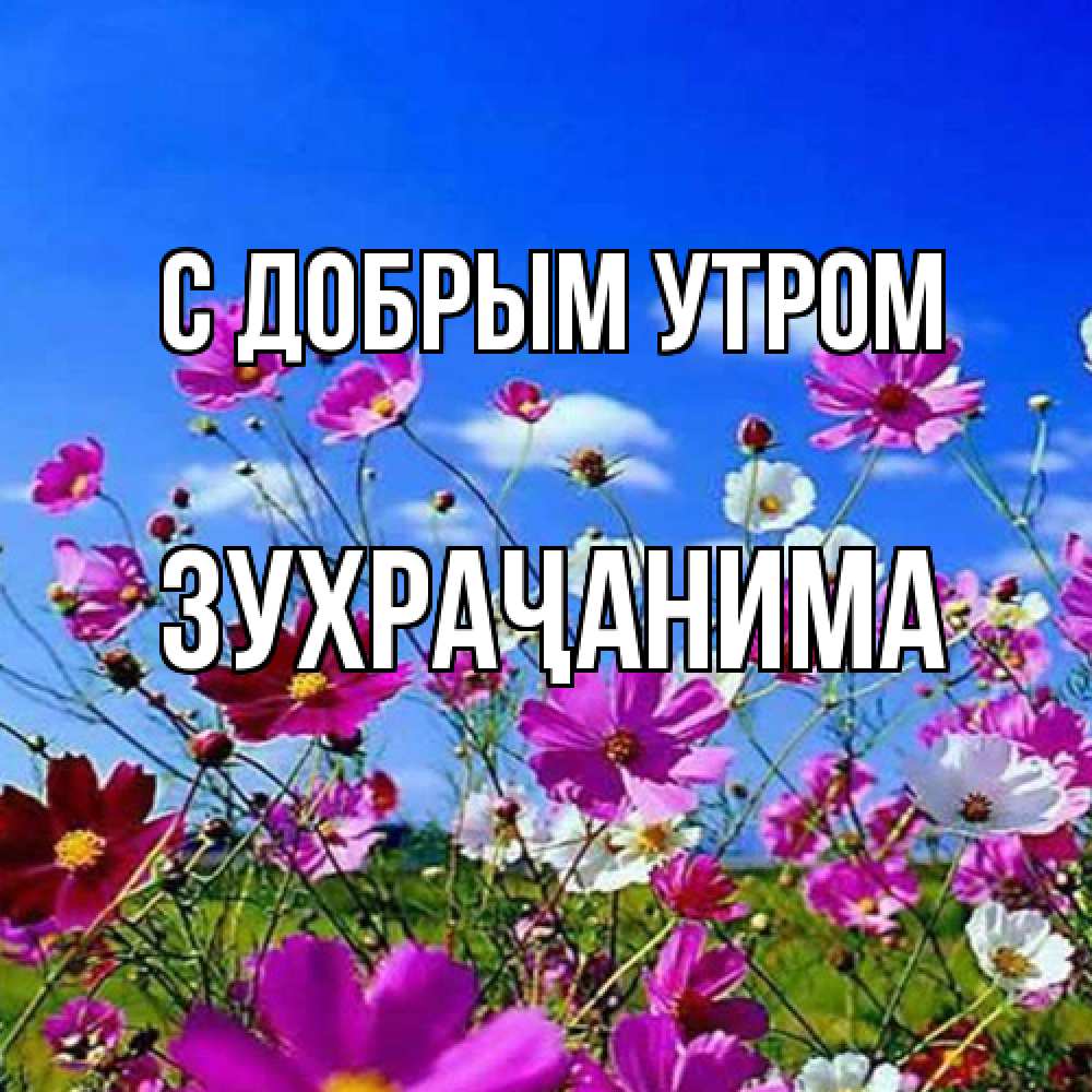 Открытка  с именем. Зухраҷанима, С добрым утром  