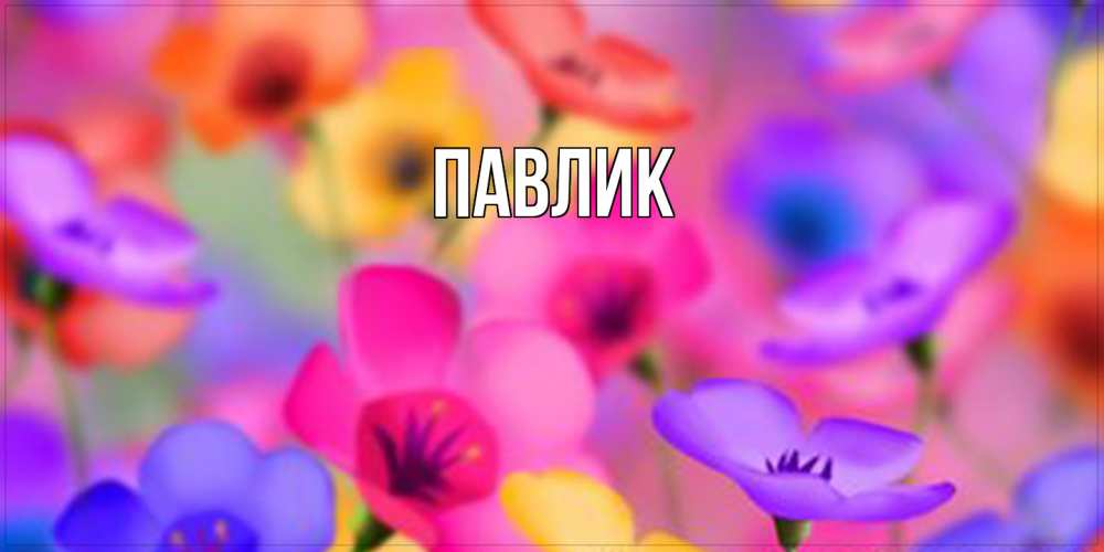 Открытка  с именем. Павлик, Главная  