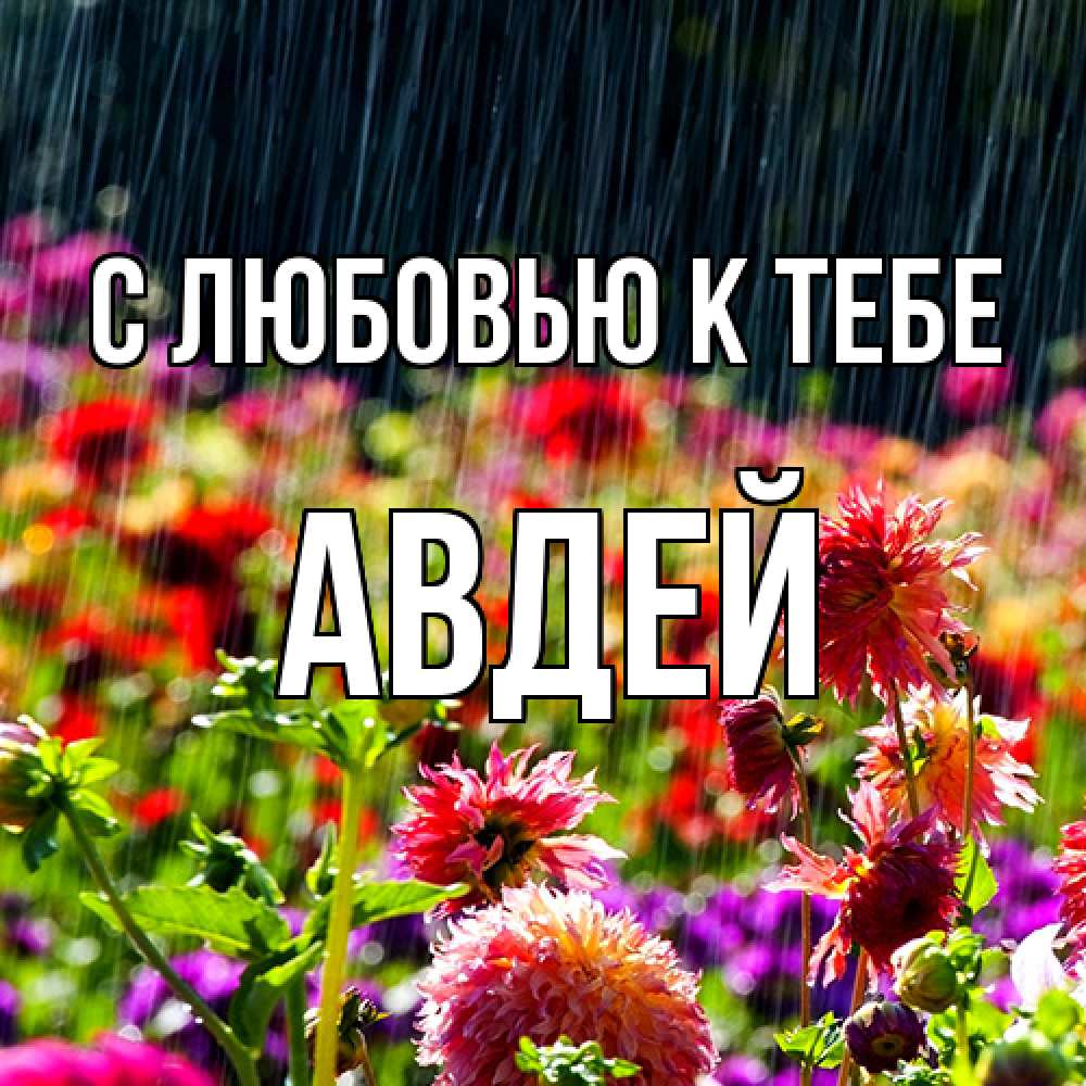 Открытка  с именем. Авдей, С любовью к тебе  