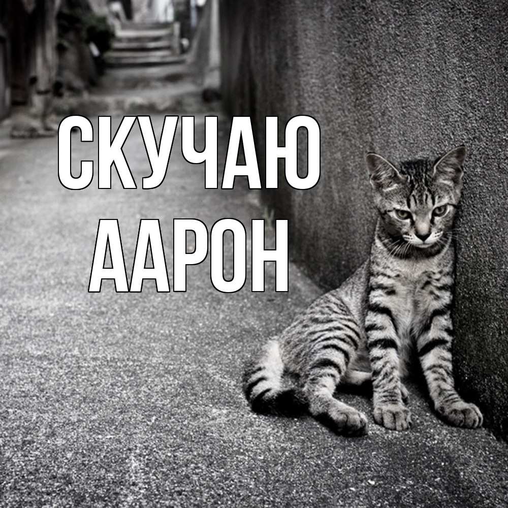 Открытка  с именем. Аарон, Скучаю  