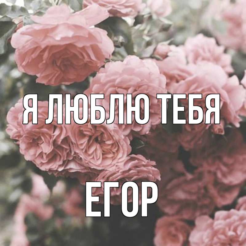 Картинка Я люблю тебя, Егор
