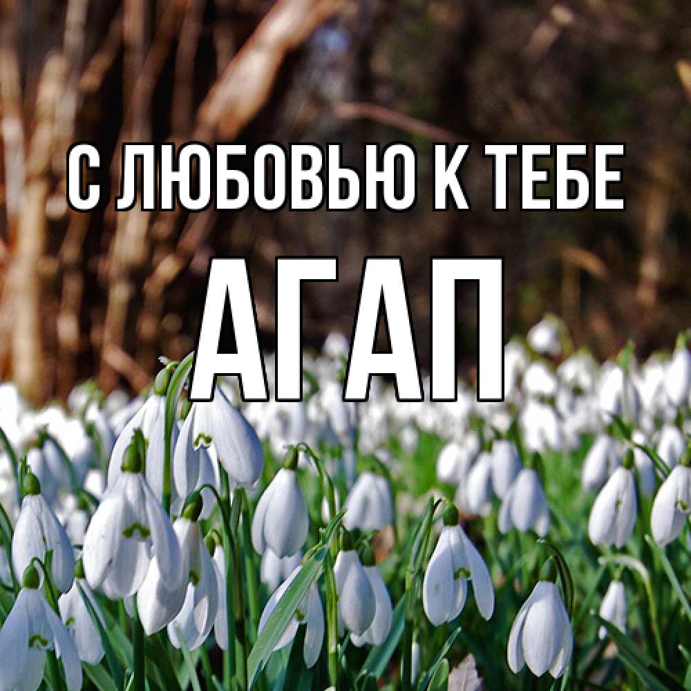 Открытка  с именем. Агап, С любовью к тебе  
