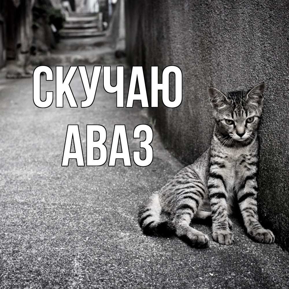 Открытка  с именем. Аваз, Скучаю  