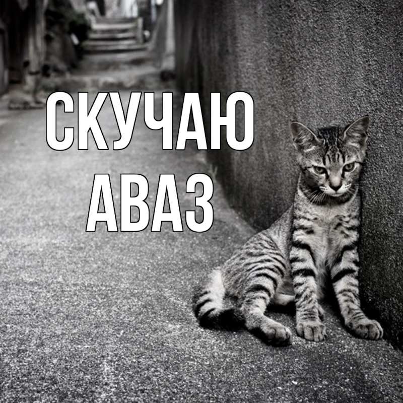 Картинка Скучаю, Аваз