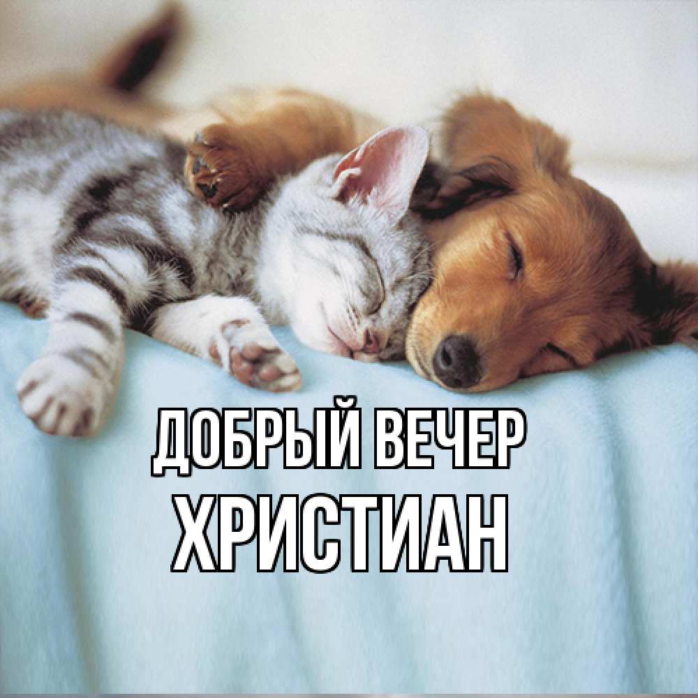 Открытка  с именем. Христиан, Добрый вечер  