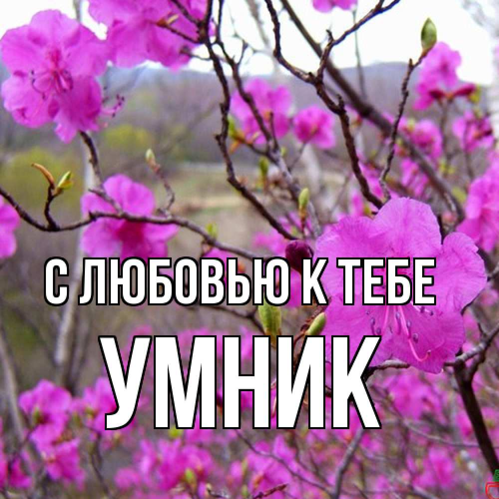 Открытка  с именем. Умник, С любовью к тебе  