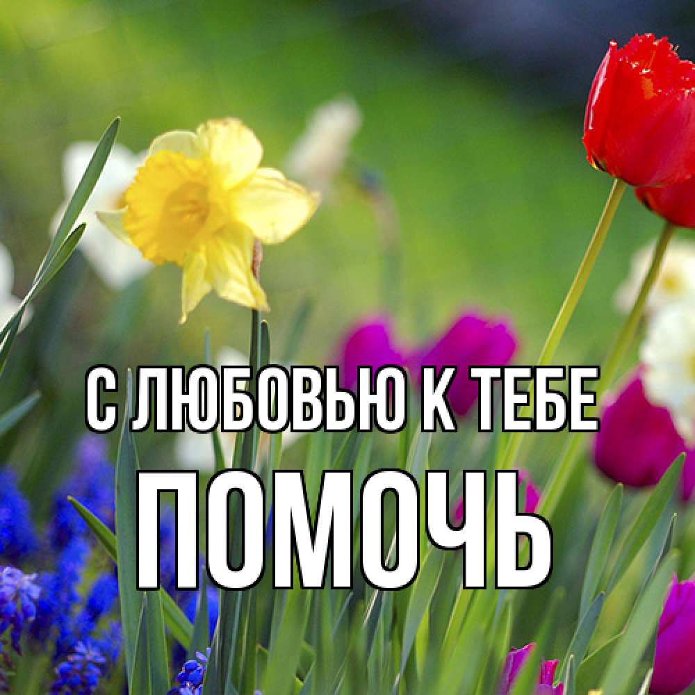 Открытка  с именем. Помочь, С любовью к тебе  