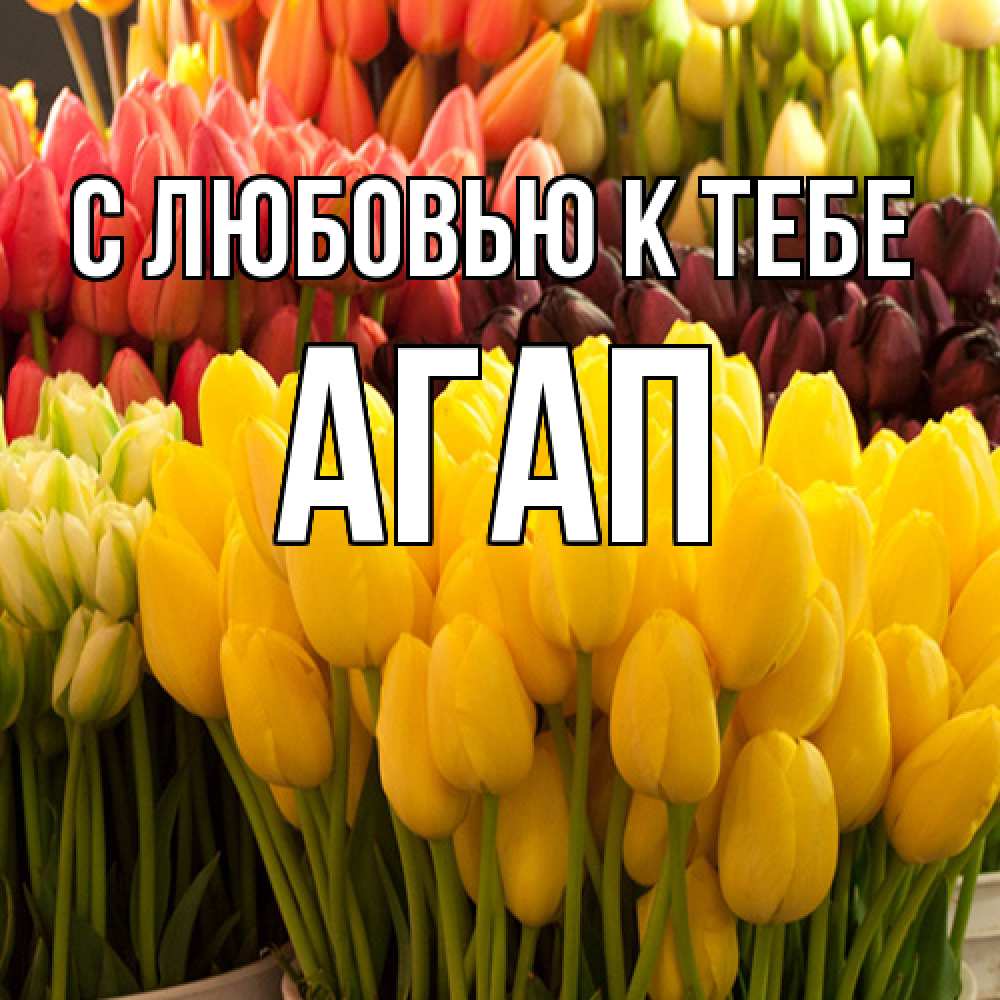 Открытка  с именем. Агап, С любовью к тебе  
