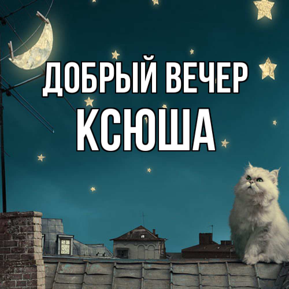 Открытка  с именем. Ксюша, Добрый вечер  