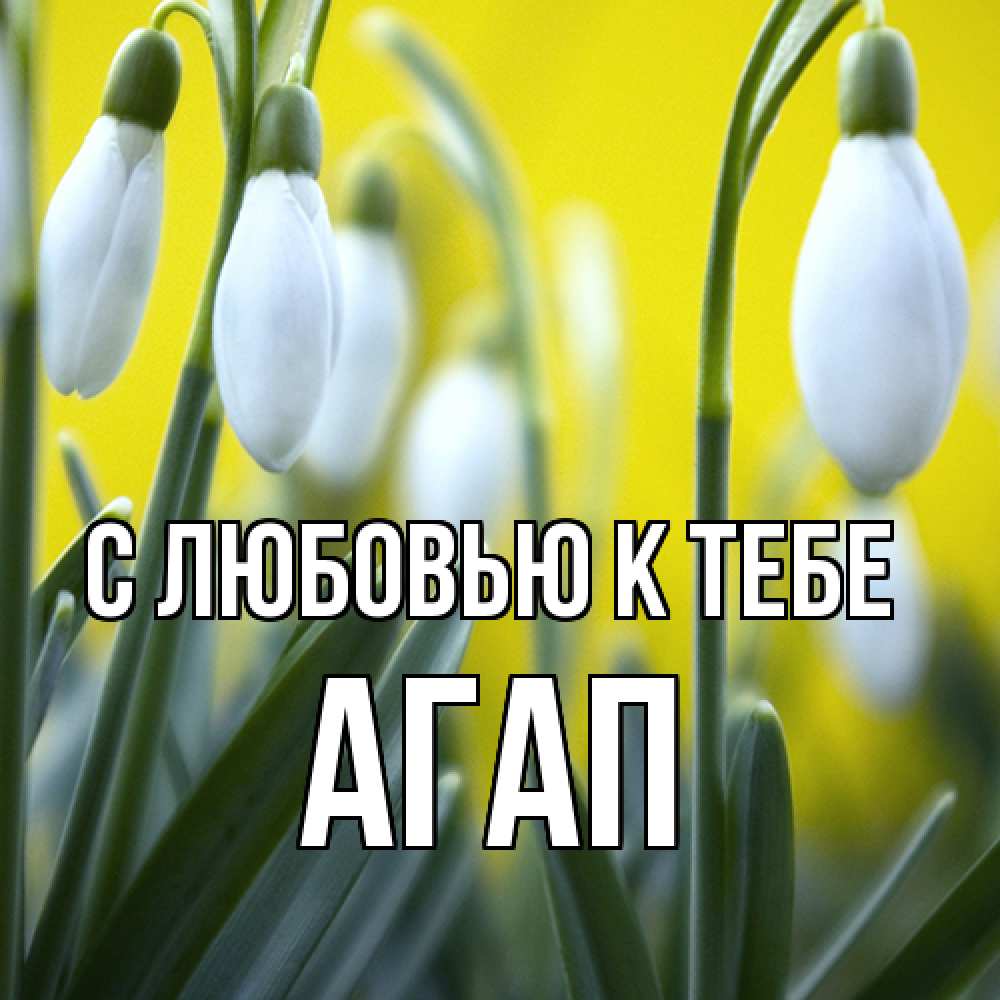 Открытка  с именем. Агап, С любовью к тебе  