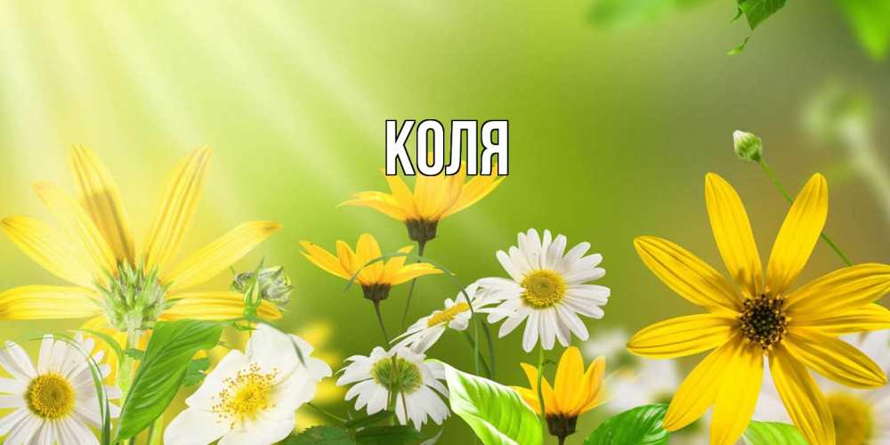 Открытка  с именем. коля, Главная  