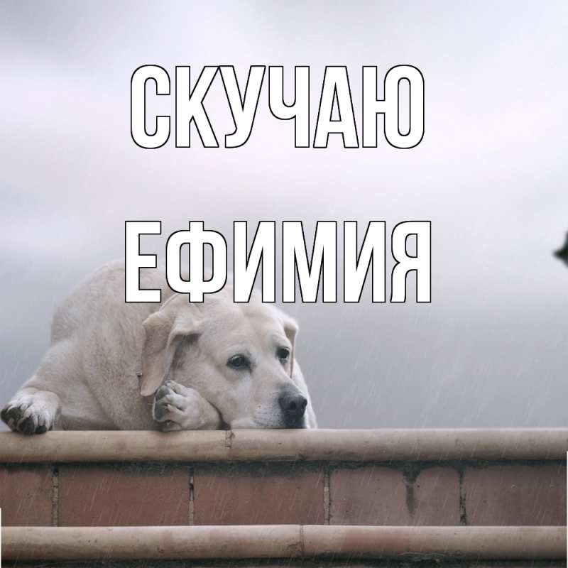 Открытка с именем, Ефимия, Скучаю