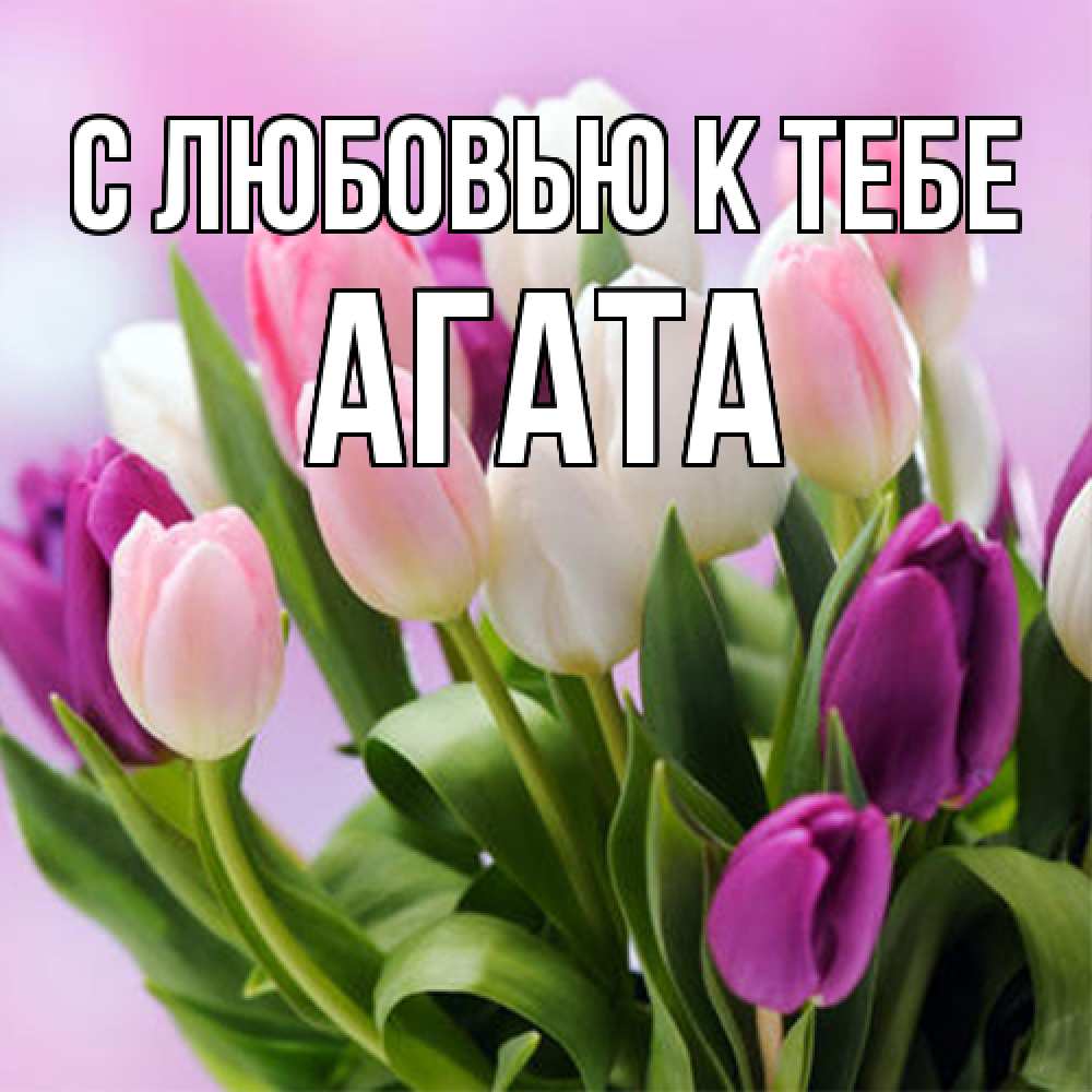 Открытка  с именем. Агата, С любовью к тебе  