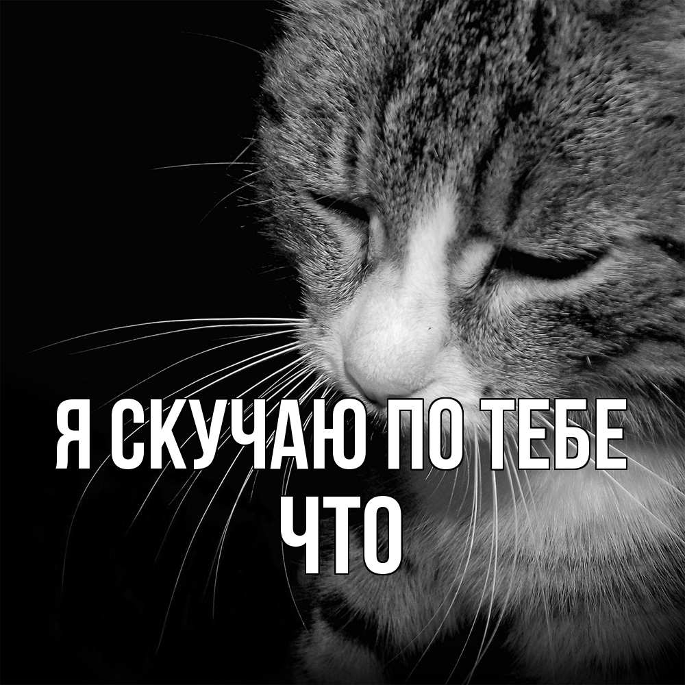 Открытка  с именем. Что, Я скучаю по тебе  