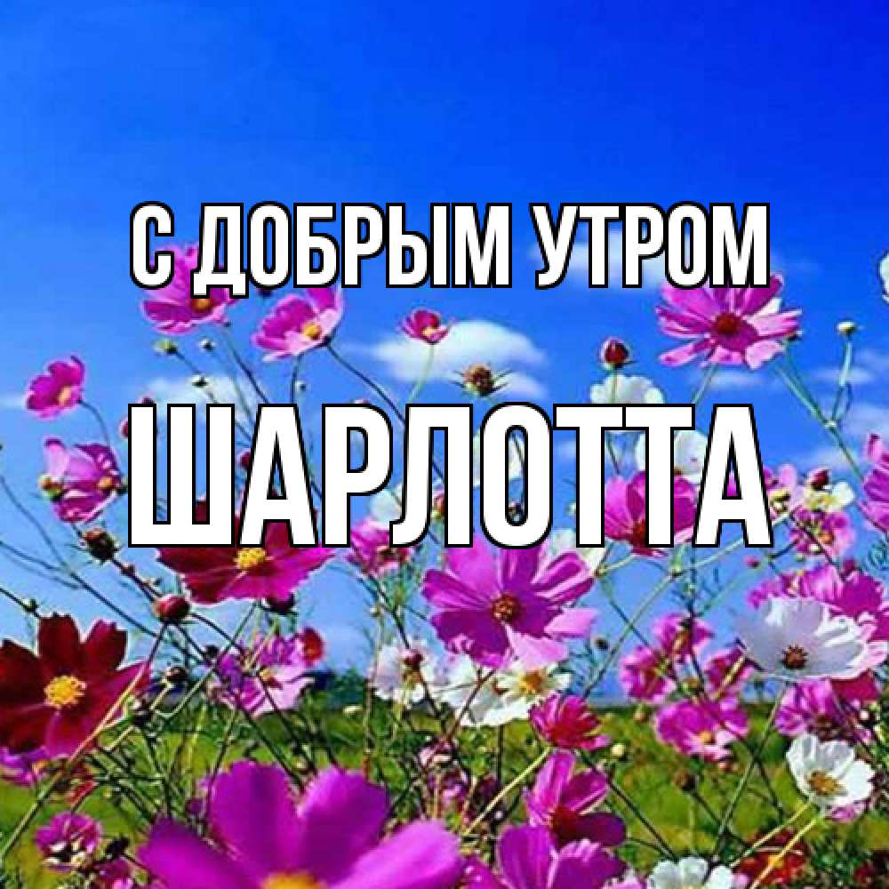 Открытка  с именем. Шарлотта, С добрым утром  