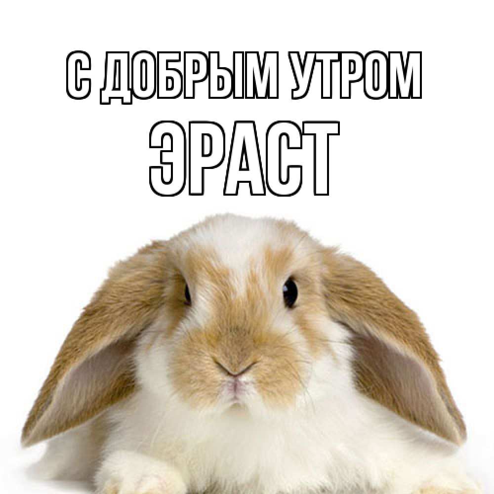 Открытка  с именем. Эраст, С добрым утром  