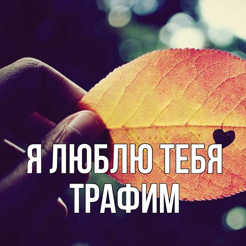Картинка Я люблю тебя, трафим