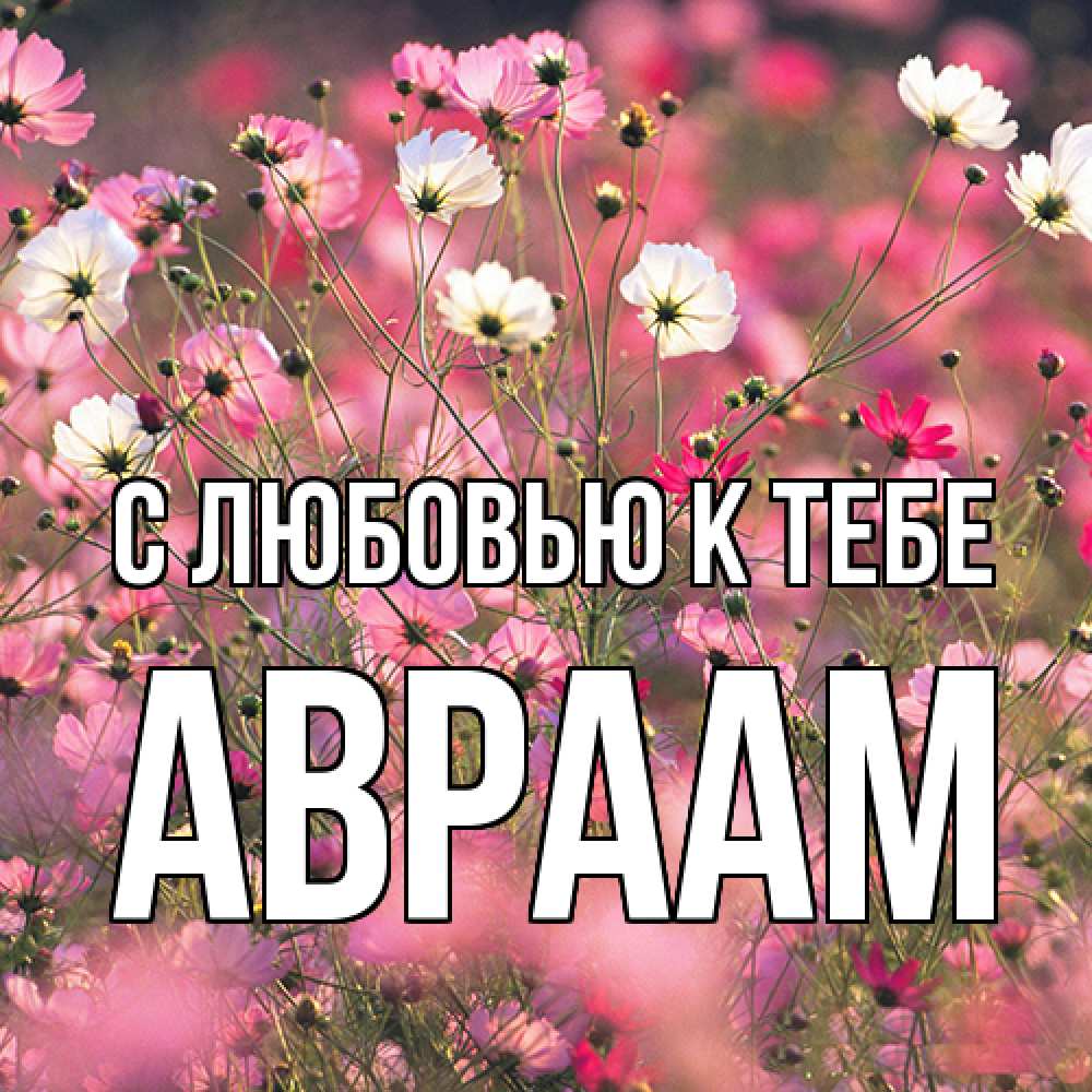 Открытка  с именем. Авраам, С любовью к тебе  