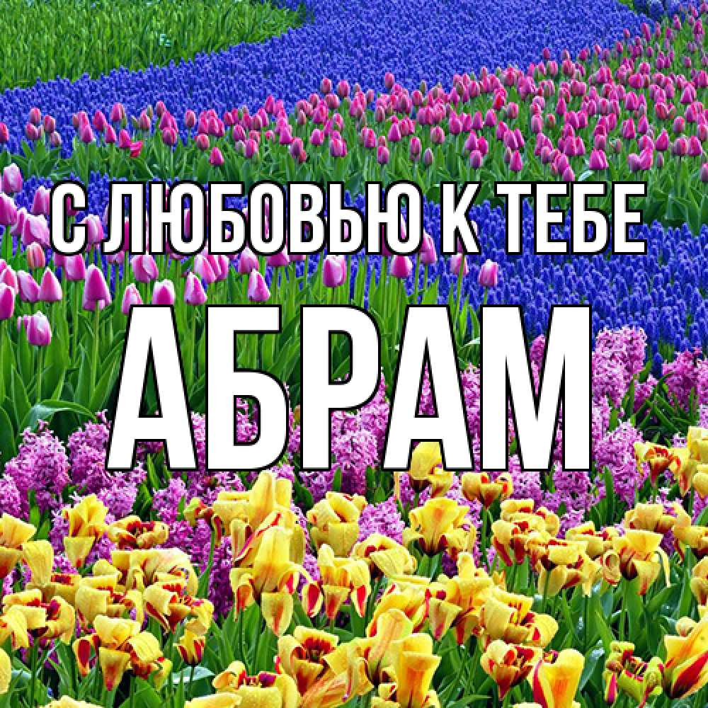 Открытка  с именем. Абрам, С любовью к тебе  