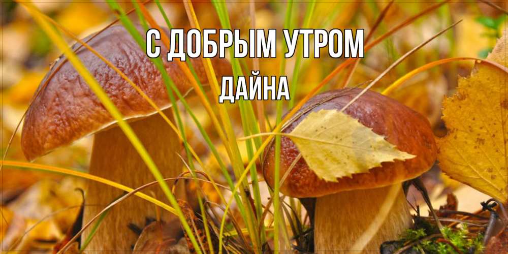 Открытка  с именем. Дайна, С добрым утром  