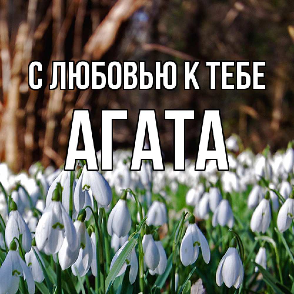 Открытка  с именем. Агата, С любовью к тебе  