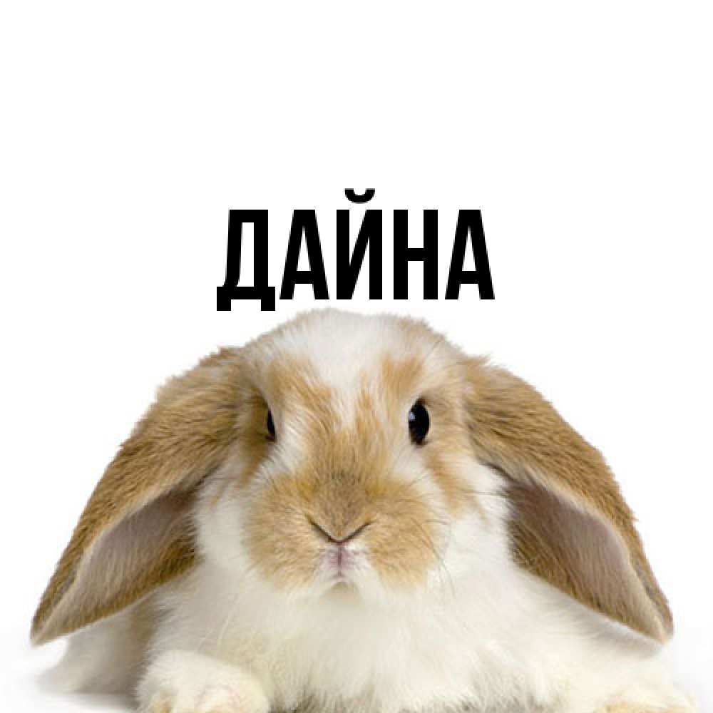 Открытка  с именем. Дайна, Главная  