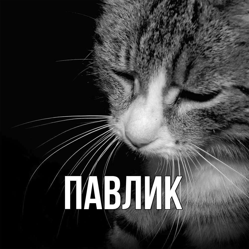 Открытка  с именем. Павлик, Главная  