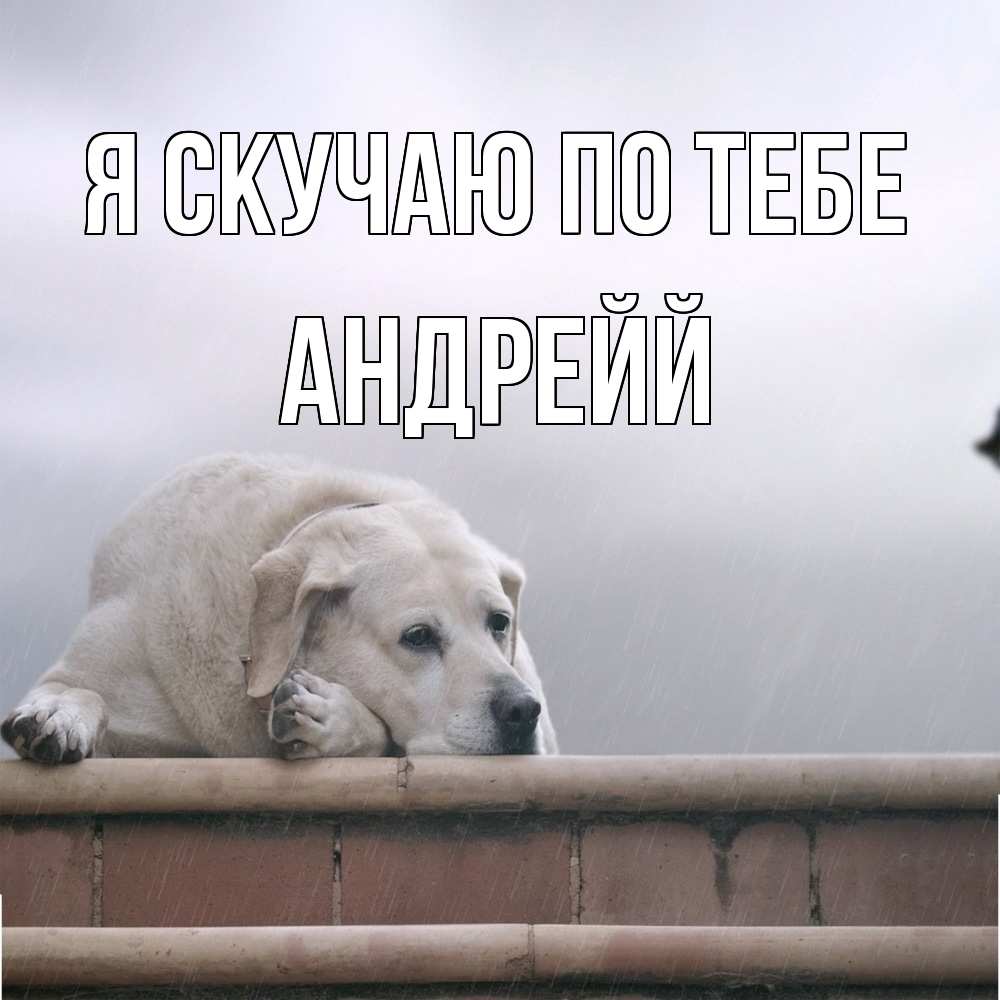 Открытка  с именем. Андрейй, Я скучаю по тебе  