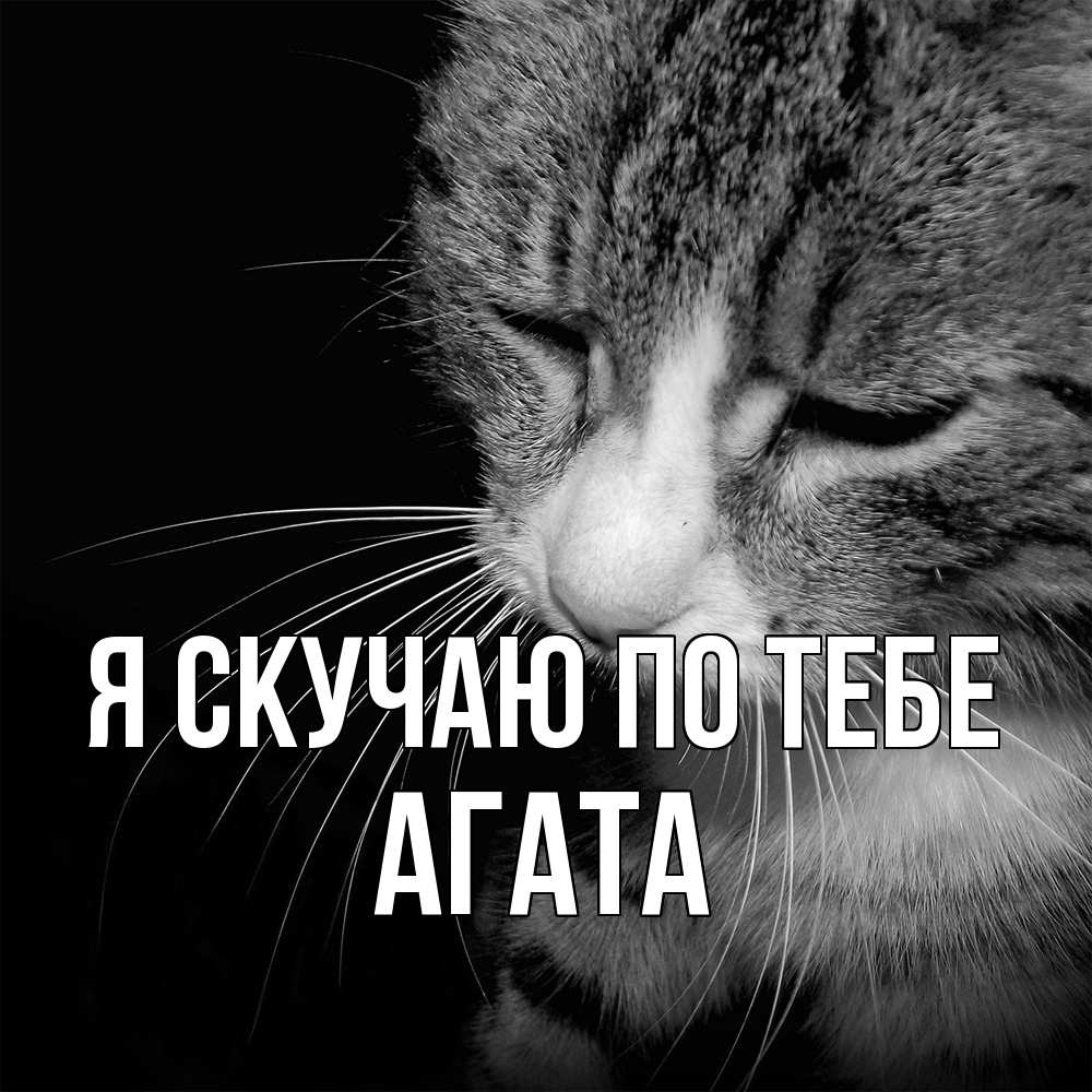 Открытка  с именем. Агата, Я скучаю по тебе  