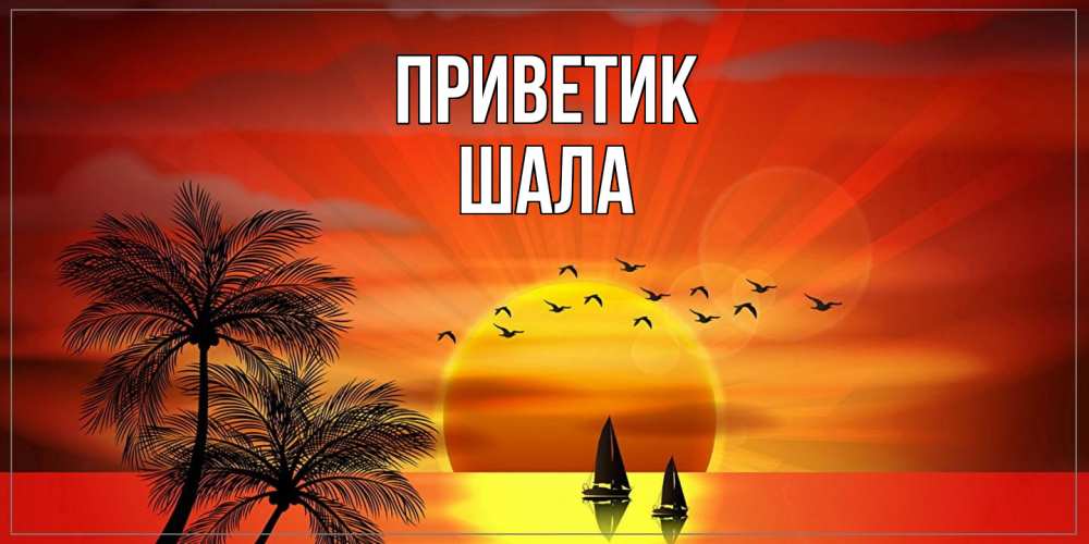 Открытка  с именем. Шала, приветик  