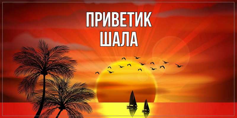 Картинка приветик, Шала