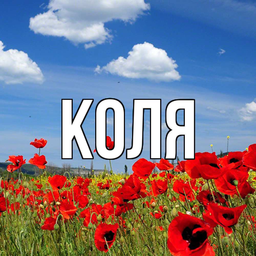 Открытка  с именем. коля, Главная  