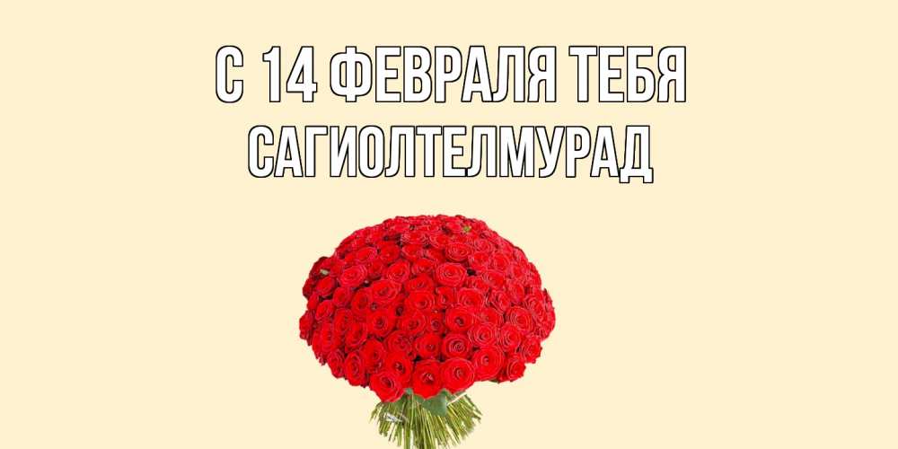 Открытка  с именем. САГИОЛТЕЛМУРАД, С 14 февраля тебя  