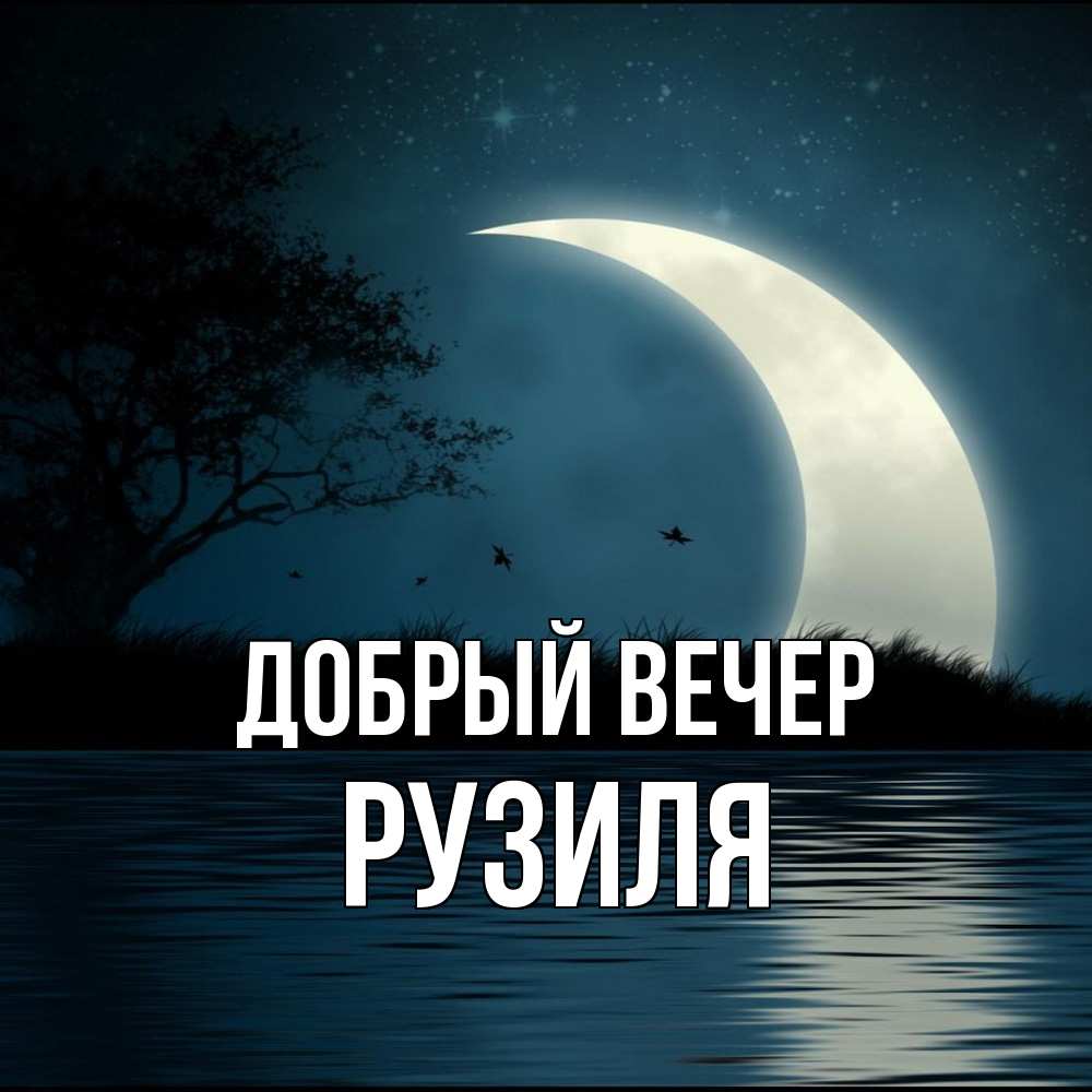 Открытка  с именем. Рузиля, Добрый вечер  