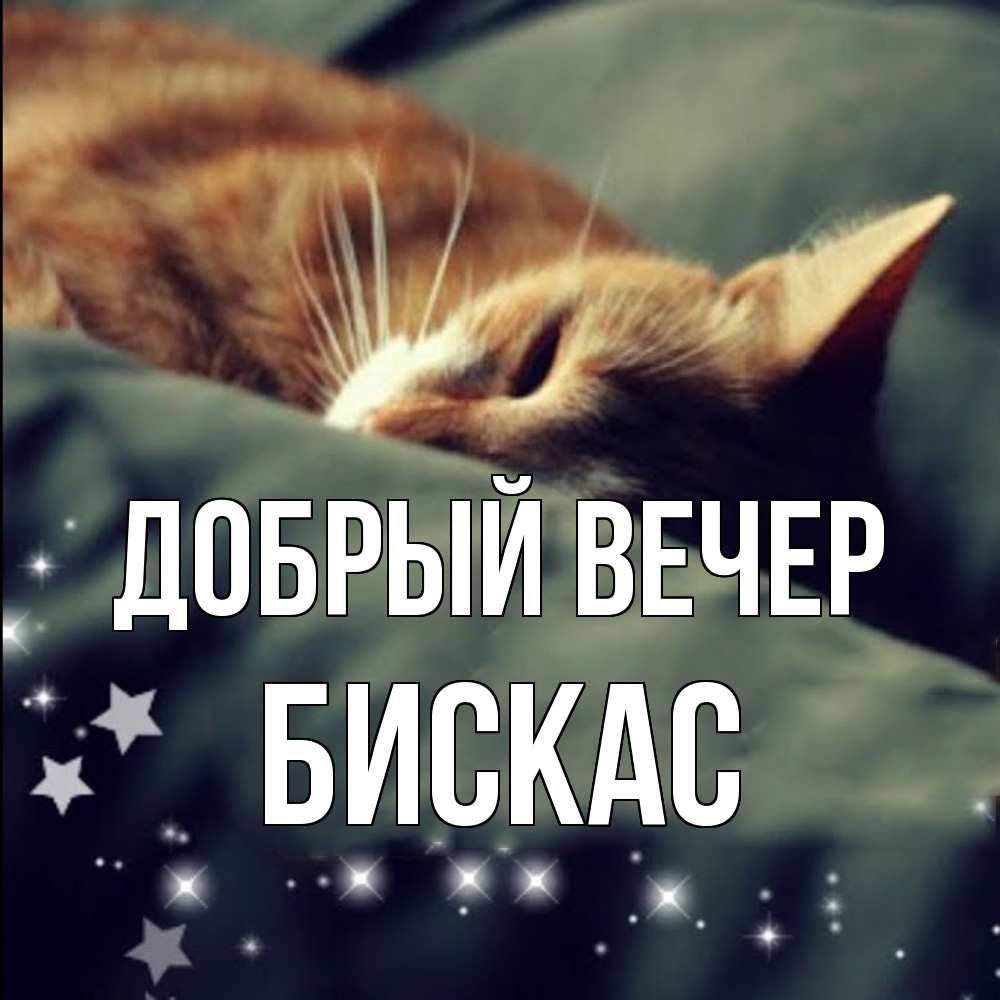 Открытка  с именем. Бискас, Добрый вечер  