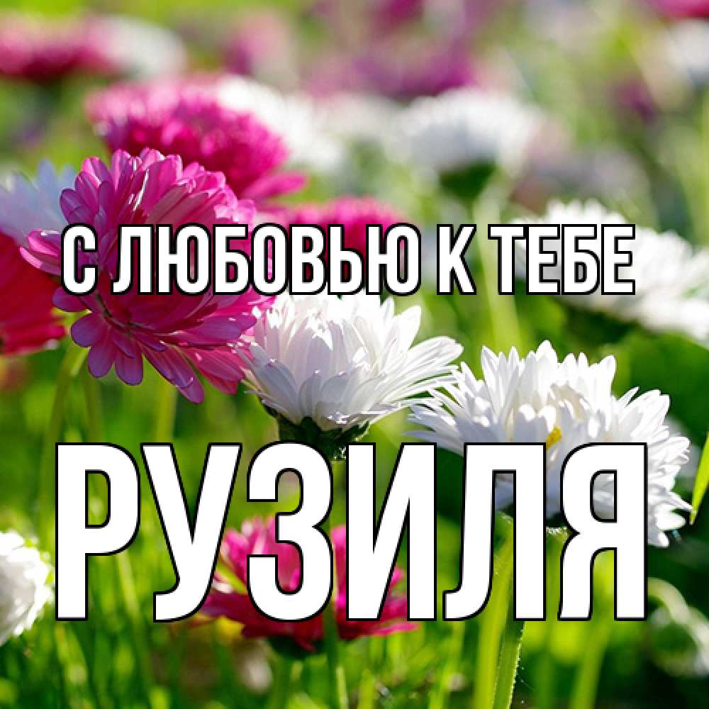 Открытка  с именем. Рузиля, С любовью к тебе  